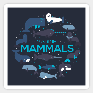 Marine mammals doodles Magnet